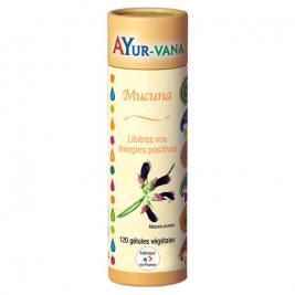 Mucuna 120 gélules