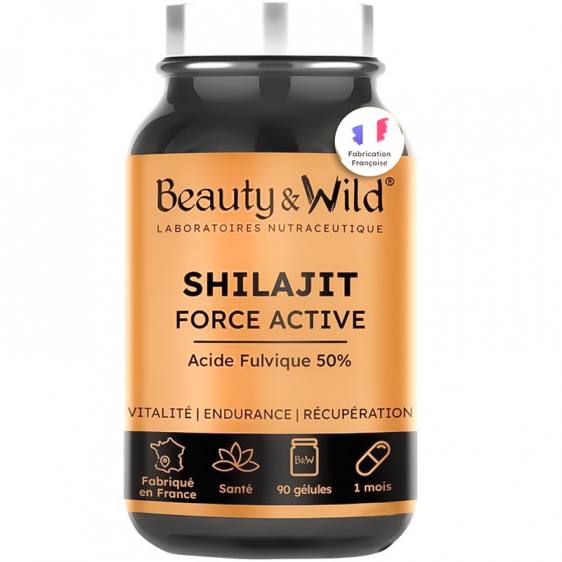 Shilajit 90 gélules