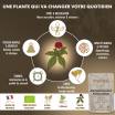 Ashwagandha KSM-66® bio 90 gélules