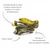 Kombu royal en feuilles bio 30g