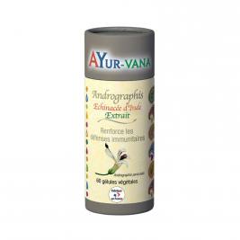 Andrographis extrait 60 gélules