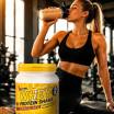 Whey protein shake vanille 450g