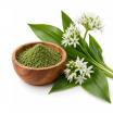 Ail des ours en poudre bio 50g