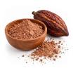 Cacao criollo pur non torréfié en poudre bio équitable 1kg