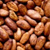 Fèves de cacao criollo crues bio équitable 250g