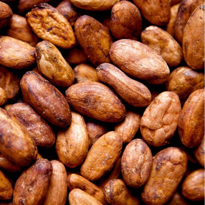 Fève de cacao — Wikipédia