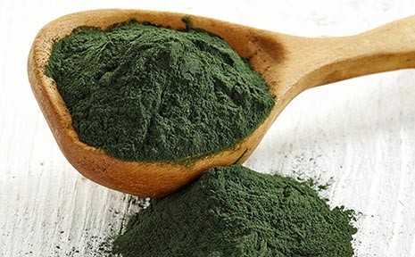 Spiruline